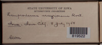 Image Associated With the Occurence
